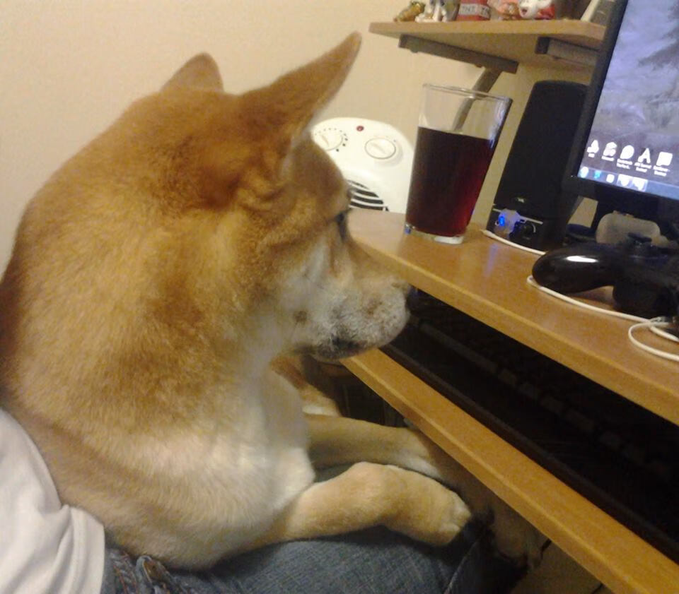 开云体育官方网站-_红土季节最高潮：布达佩斯挑战赛激烈上演_，布达佩斯bme